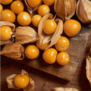 Cape Gooseberry Golden Berry Seeds