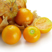Cape Gooseberry Golden Berry Seeds