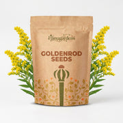 Goldenrod Seeds – Solidago spp.