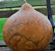 Brown Bushel Gourd Seeds