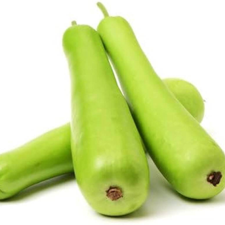 Long Calabash Gourd Seeds