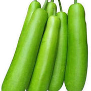 Long Collins Gourd Seeds