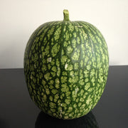 Green Malabar Gourd Seeds