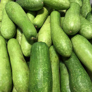 Hairy Gourd Seeds