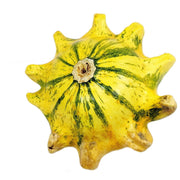 Thorn Gourd Seeds