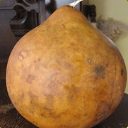 Brown Bushel Gourd Seeds