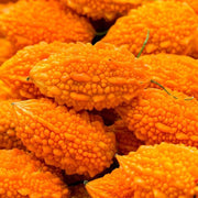 Orange Bitter Gourd Seeds
