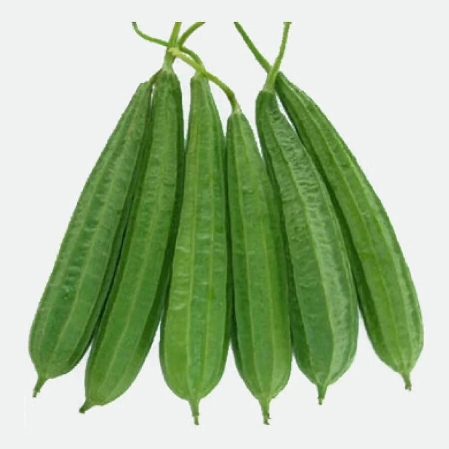 Ridge Gourd Seeds