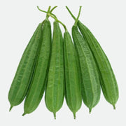 Ridge Gourd Seeds