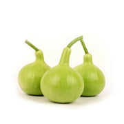 Thai Bottle Gourd Seeds