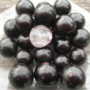 Jaboticaba Black Brazilian Grape Seeds