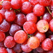 Giant Red Grape Seeds