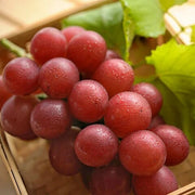 Ruby Roman Grape Seeds