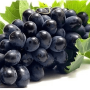 Midnight Beauty Grape Seeds
