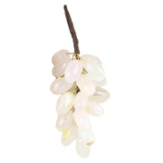 White Grape Seeds