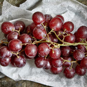 Brown Grape Seeds
