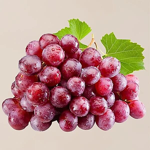 Miniature Dark Pink Grape Seeds