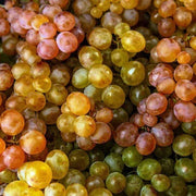 Wine Mixed Grape Seeds