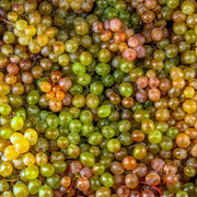 Wine Mixed Grape Seeds