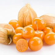 Heirloom Ground Cherry Seeds