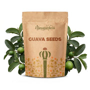 Guava Seeds – Psidium guajava