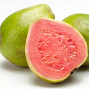 Psidium guajava Guava Seeds