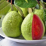 Red Guava Seeds