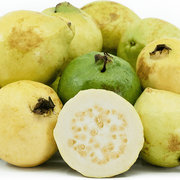 Yellow Mexican Cream Guava Seeds