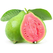 Psidium guajava Guava Seeds