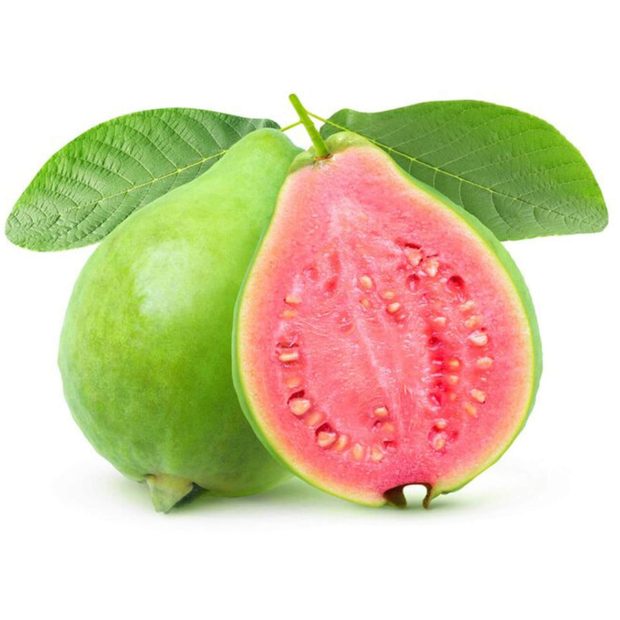 Psidium guajava Guava Seeds