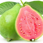 Red Guava Seeds