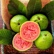 Ruby Supreme Guava Seeds