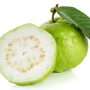 Thai White Guava Seeds