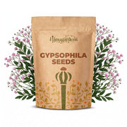 Gypsophila Seeds – Gypsophila elegans