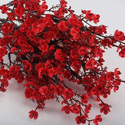 Dark Red Gypsophila Seeds