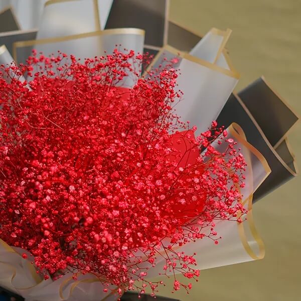 Deep Carmine Gypsophila Seeds