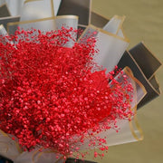 Deep Carmine Gypsophila Seeds
