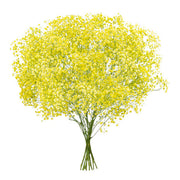 Light Yellow Gypsophila Seeds