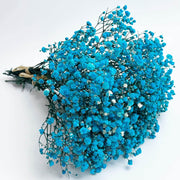light Blue Gypsophila Seeds