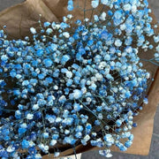 light Blue Gypsophila Seeds