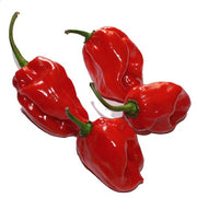 Chili Habanero Pepper Seeds