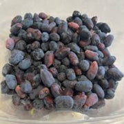 Haskap Berry Seeds