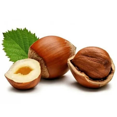European Hazelnut Seeds