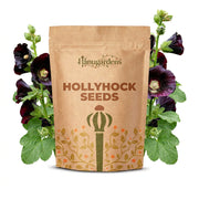 Hollyhock Seeds – Alcea rosea