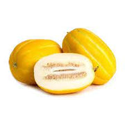 Canary Honeydew Melon Seeds