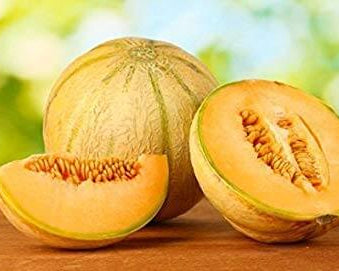 Sweet Honeydew Melon Seeds