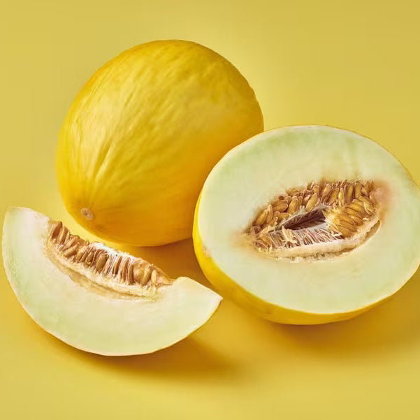 Yellow Honeydew Melon Seeds