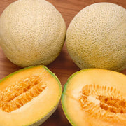 Sweet Honeydew Melon Seeds