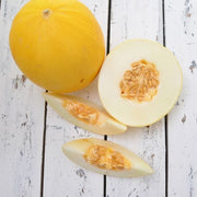 Yellow Honeydew Melon Seeds