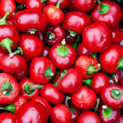 Red Cherry Hot Pepper Seeds